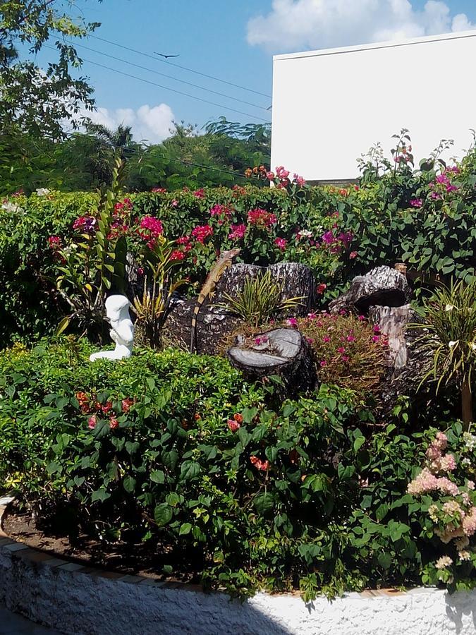 Casa De Los Suenos B&B Coronado Panama ปลายา โกโรนาโด ภายนอก รูปภาพ