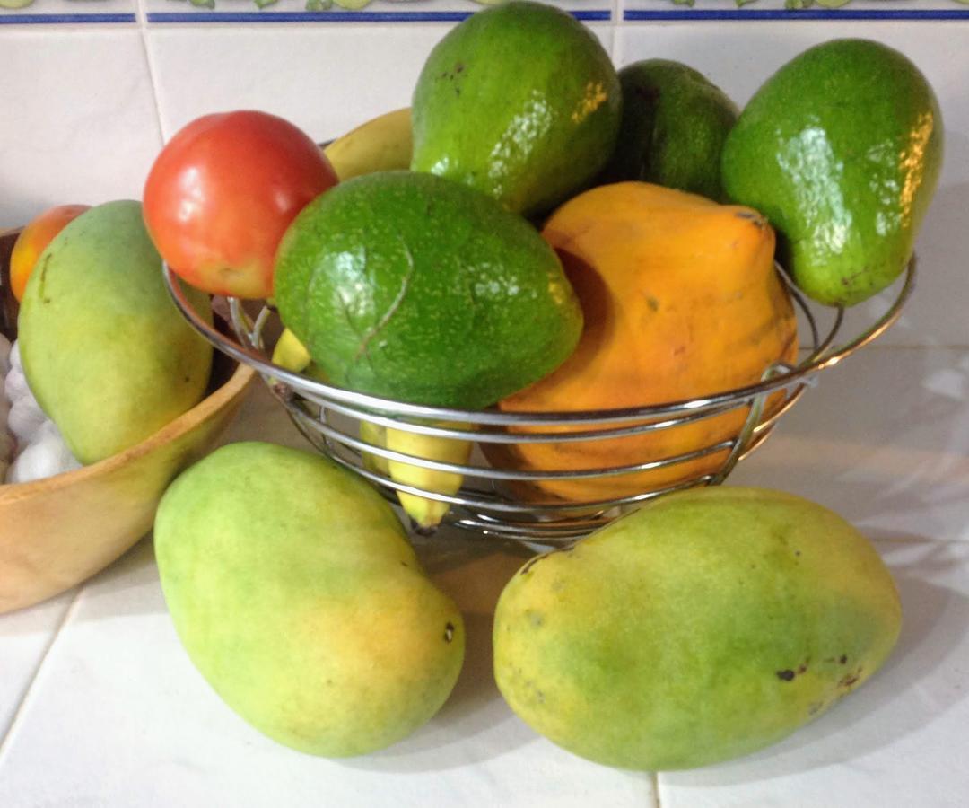 Casa De Los Suenos B&B Coronado Panama ปลายา โกโรนาโด ภายนอก รูปภาพ