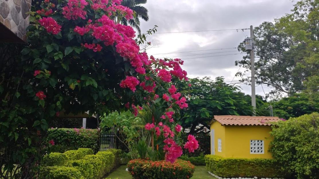 Casa De Los Suenos B&B Coronado Panama ปลายา โกโรนาโด ภายนอก รูปภาพ