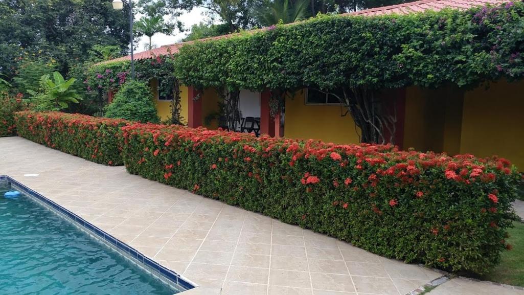 Casa De Los Suenos B&B Coronado Panama ปลายา โกโรนาโด ภายนอก รูปภาพ