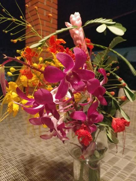 Casa De Los Suenos B&B Coronado Panama ปลายา โกโรนาโด ภายนอก รูปภาพ